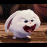 FluffyApple