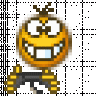 domino2014