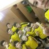 NCsky*Vechir!