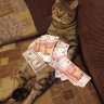 Вакуумщик