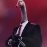 MrThomson