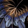Mirror Wings