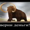 Tygoserya