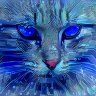 Cyber_Fun
