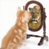 catE^