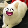 Mekato