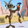 El Coyote