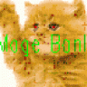 Mage Banl