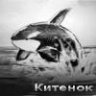 Китенок
