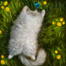 Кот Планеты