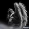 Risha