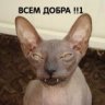 Тихий ХР