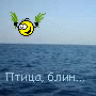 Vombat