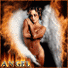 angelflight