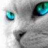 Mikle_N
