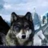 Fenrir678