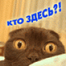 Nitrino