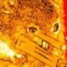 Txxxxxxxxx