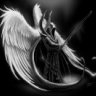 -Believer-