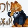 Mr.Р.ы.Ж.и.й.