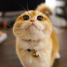 Tанюша