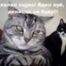 ЖМОТЯРА