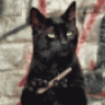 DarkMaster