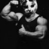 BoB_CaT
