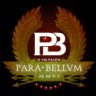 pBteam