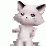 _Cupu_