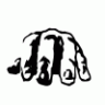 Tyapchyc