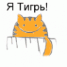Тигрясик