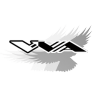 V V A