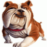 FatDog