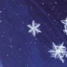 winters