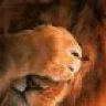 imcrazytimon