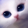 Luxfor