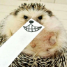 StrannixDeNav