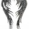 FallenAnge1