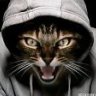 Vit@liy77