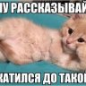кочивон