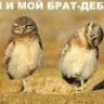 Jlунь