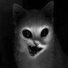 Кот Шрёдингера