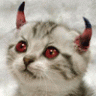 CrimsonD