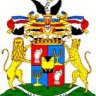 Svyaz
