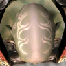 Orkhead