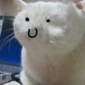 LoonaxoD
