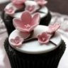 CupCakeLady