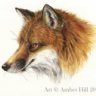 *Fox86*