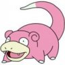 Magot696